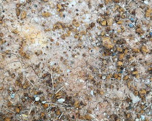 Detail stone and soil on dry ground for background