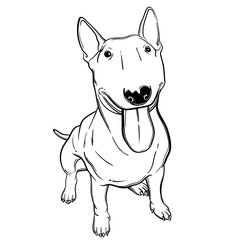 Cute vector illustration with bullterrier. Home dog. Perfect for printing clothes or stickers or coloring books.