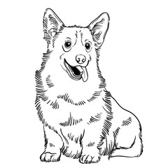 Cute vector illustration with Welsh Corgi. Home dog. Perfect for printing clothes or stickers or coloring books.