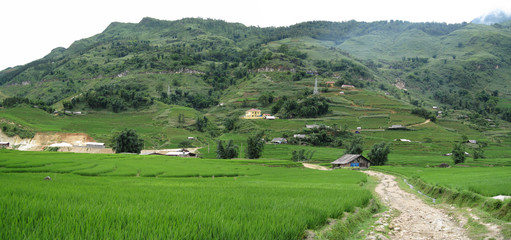 Sapa