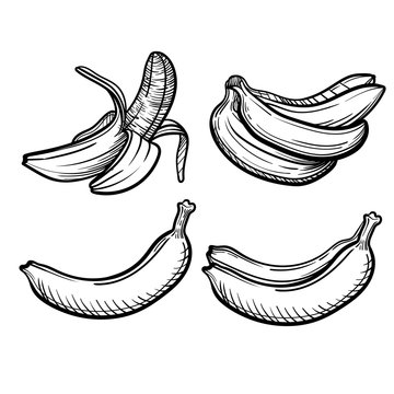 Vector set with banana. Tropical icons with fresh banana.