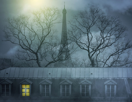 Fototapeta Mysterious night with moon light in Paris