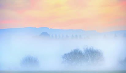 Obraz premium Fog Bank 