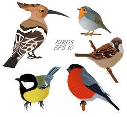 Set of isolated birds