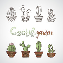 Hand drawn sketch, vector cactus set