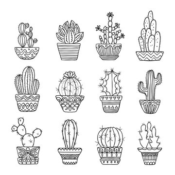 Hand drawn sketch, vector cactus set