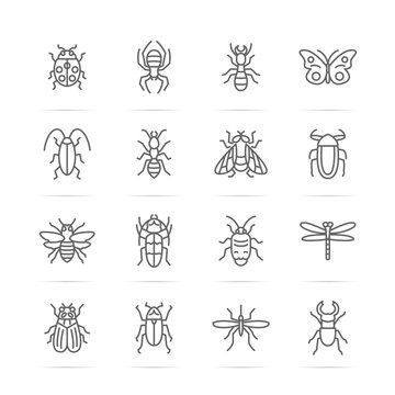insect vector line icons