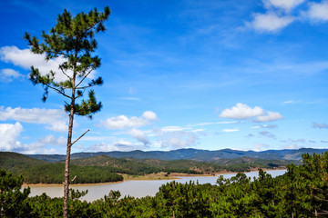 Fototapeta na wymiar Golden Valley in Dalat, Lam Dong province, Vietnam. Fresh air, pine trees, brilliant flowers and murmuring brooks, the Golden Valley is a picturesque detour, 14km north of Dalat.