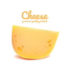 Cheese realistic food, Cheese Vector illustration