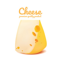 Cheese realistic food, Vector illustration