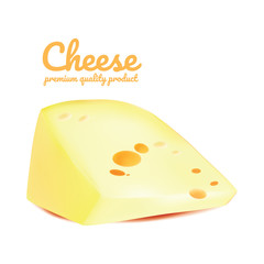 Yellow Cheese realistic isolated on white background.