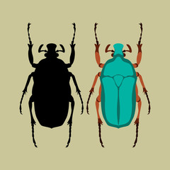 beetle vector illustration style Flat black silhouette