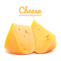 Cheese realistic isolated on white background, Cheese vector illustration