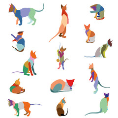 Colorful cats silhouettes