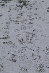 Texture of the earth and snow