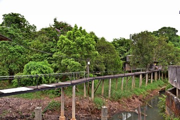 Fototapeta na wymiar Old wooden bridge into the house, Cross the river and small jungle, Thailand.