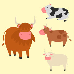 Bulls cows farm animal character vector illustration cattle mammal nature wild beef agriculture.