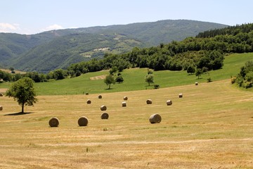 Balle di fieno in Umbria