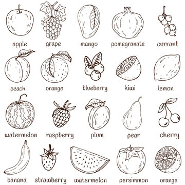 Set of fresh healthy hand-drawing fruits isolated.  Organic farm illustration. Healthy lifestyle vector design elements.