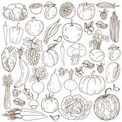 Set of fresh healthy hand-drawing fruits, vegetables, nuts and berries isolated.  Organic farm illustration. Healthy lifestyle vector design elements.