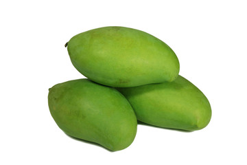 Piled Up Three Vibrant Green Color Young Mangoes Isolated on White Background 