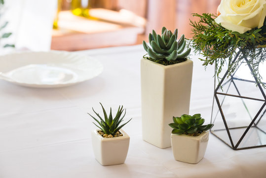Hipster wedding decorations includes succulents