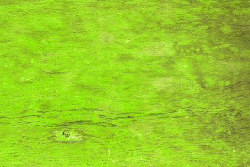 wood texture background