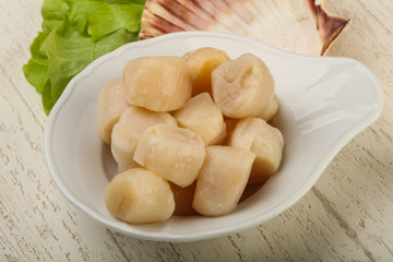 Raw scallops heap