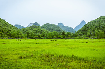 Countryside scenery