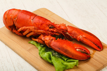 Lobster