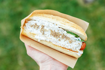 Hot dog in the man's hand