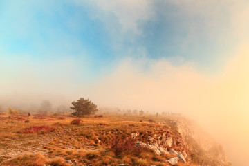 Foggy autumn evening in Val Rosandra