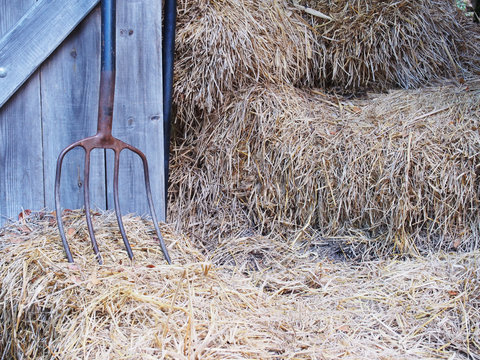 Iron rake, wooden door and rice straw.