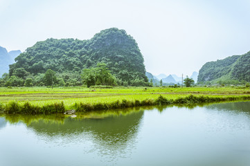 Fototapeta premium Beautiful countryside scenery in summer