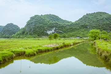 The countryside scenery in summer 