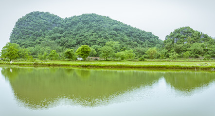 The countryside scenery in summer 