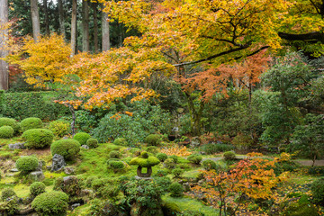 Japanese temple in autumn