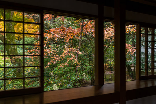 Japanese temple in autumn season © leungchopan