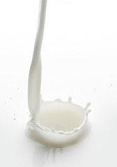 Pouring milk splash