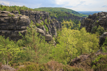 Affensteine Saxony Swiss