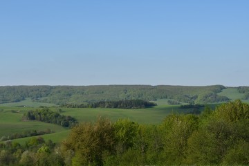 spring nature scenery