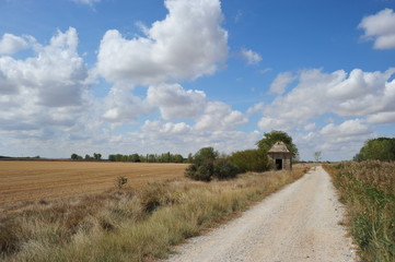 スペイン巡礼路からの風景