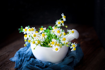 Echte Kamille - Blüten - Kräuter - Naturheilkunde - Matricaria chamomilla