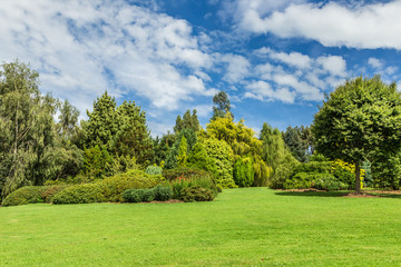 Fototapeta na wymiar Garden with trees, bushes, and lawn in New Zealand