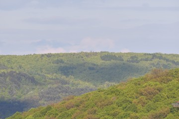 Fototapeta premium spring nature scenery