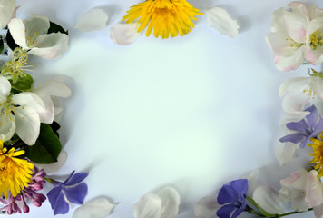 White background with spring flowers