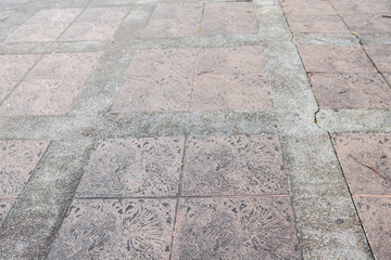 Fototapeta premium garden walkway