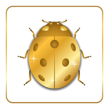 Ladybug gold insect small icon. Golden lady bug animal sign, isolated on white background. 3d volume design. Cute jewelry ladybird design. Cartoon lady bird closeup beetle. Vector illustration