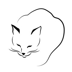 Cat in line technics 