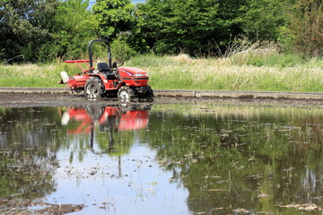 Japanese rice field in spring time